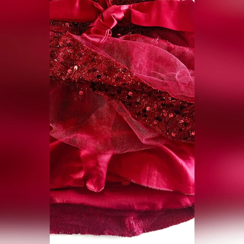 NWT Lala & Erina Tulle Layered Cinderella Dress